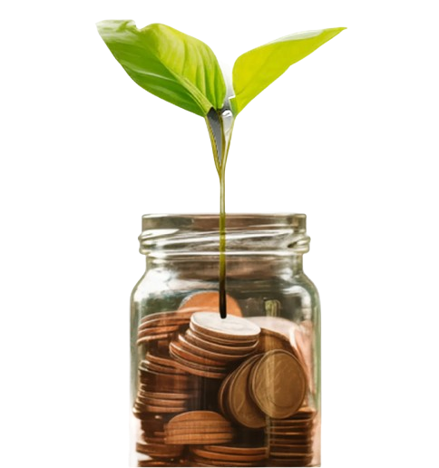 Investment Growth